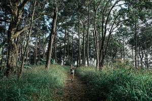 BIB: 
                            <button type="button" onclick="openModal(25656975)" class="btn btn-primary btn-sm float-right btn-popup" data-toggle="modal" data-target=".modal-high-quality">
                        <i class="fas fa-shopping-cart"></i> Add to Cart
                    </button>
                                            <button type="button" onclick="isThisMe(25656975, true)" class="btn btn-success btn-sm float-right btn-popup btn-isme hidden" data-toggle="tooltip" data-placement="bottom" title="นี่คือรูปของคุณใช่ไหม คลิกที่นี่เพื่อเอาเข้าอัลบั้ม">
                        <i class="fas fa-plus"></i> Add to album
                    </button>
                    <button type="button" onclick="isThisMe(25656975, false)" class="btn btn-warning btn-sm float-right btn-popup btn-isnotme hidden">
                        <i class="fas fa-ban"></i> Remove from album
                    </button>